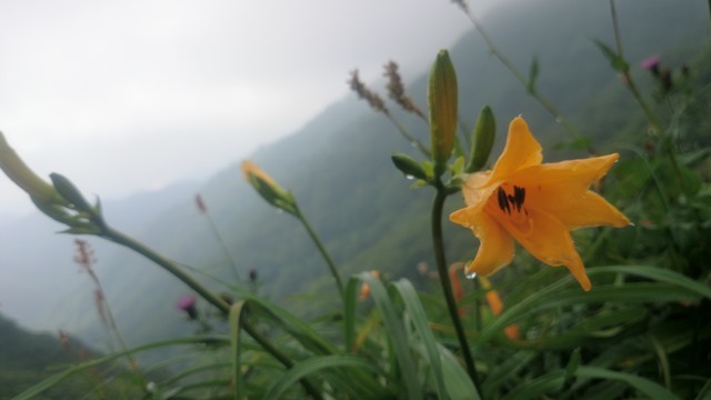 b0148050_8414597.jpg