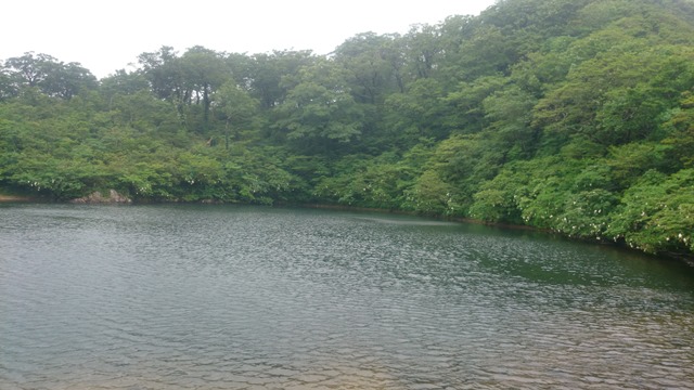 b0148050_8434945.jpg