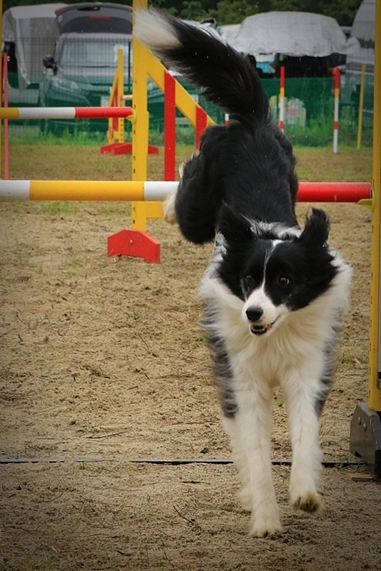 c0145250_16374975.jpg