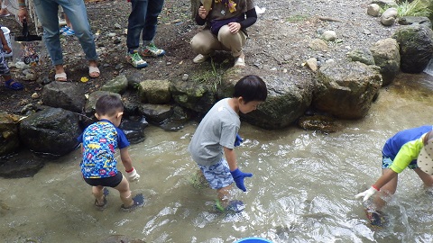 生き物見つけ隊を行いました！_a0166454_173110.jpg