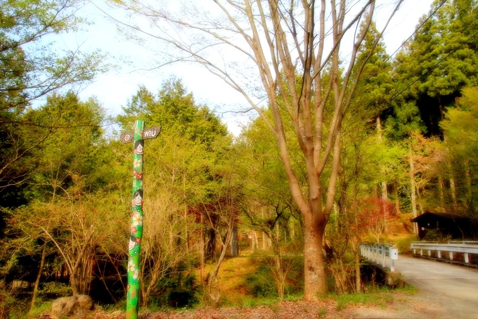 ◆いまさらphoto アルバム ~ ネイチャーランドオム_b0008655_17415662.jpg