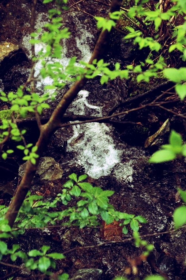 ◆いまさらphoto アルバム ~ ネイチャーランドオム_b0008655_17434002.jpg