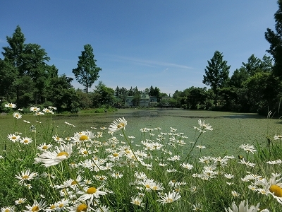e0170558_22530143.jpg