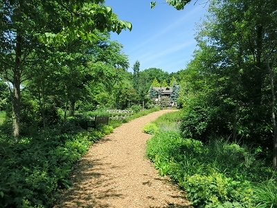 e0170558_23043721.jpg