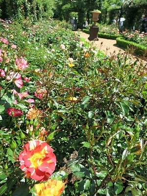 e0170558_23082939.jpg
