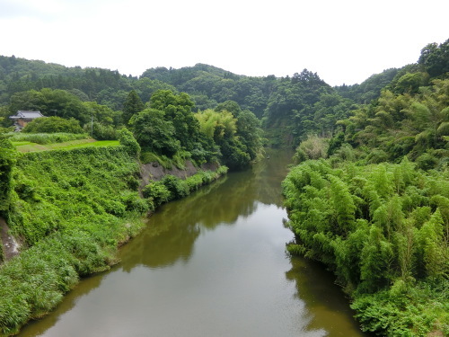 養老渓谷経由、安房小湊まで_b0092366_21562304.jpg