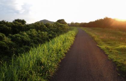 一年で最も日の長いこの時期......夕方からの...._b0194185_22424539.jpg