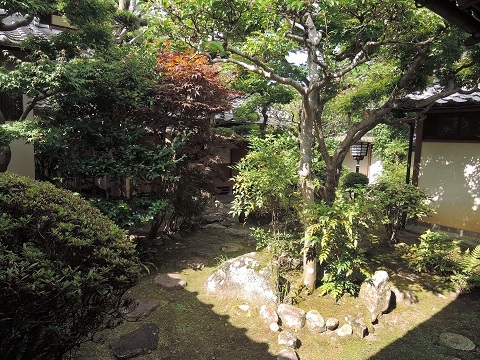 伊丹から奈良へ^^_a0211886_22572319.jpg