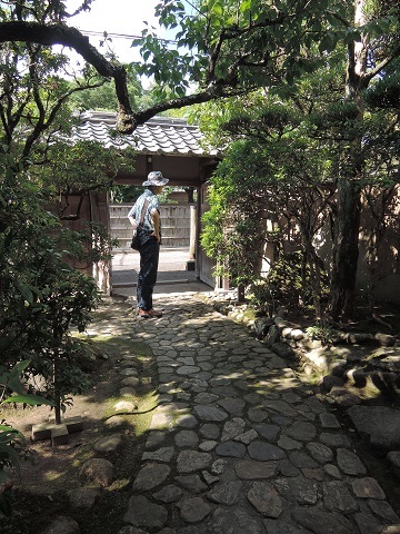 伊丹から奈良へ^^_a0211886_23175325.jpg