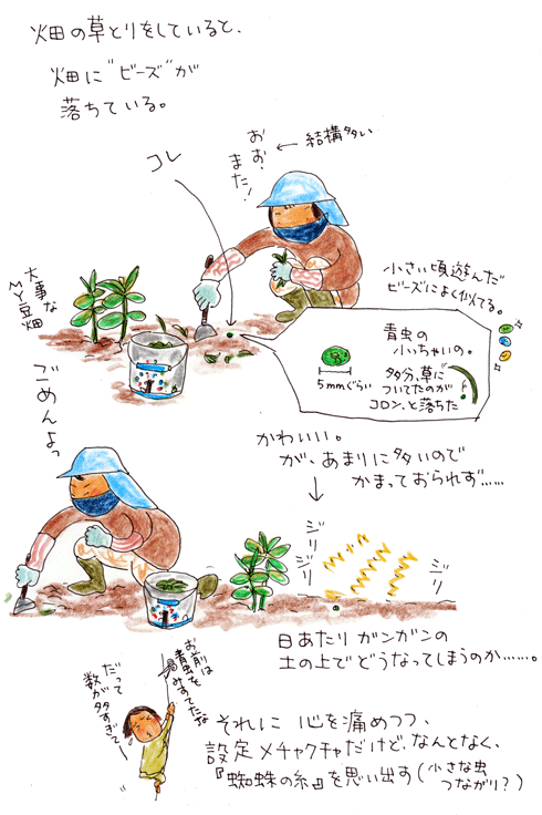f0236291_557742.gif