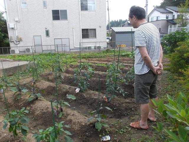 嫁の畑&はだかんぼーな孫たち_f0019498_17364538.jpg