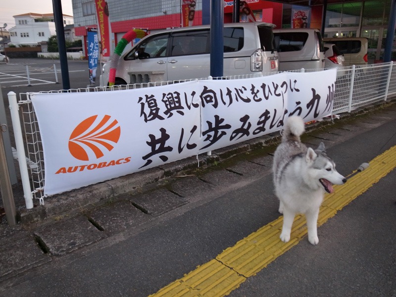 いよいよ、着々と (*^_^*)_c0049299_21491469.jpg