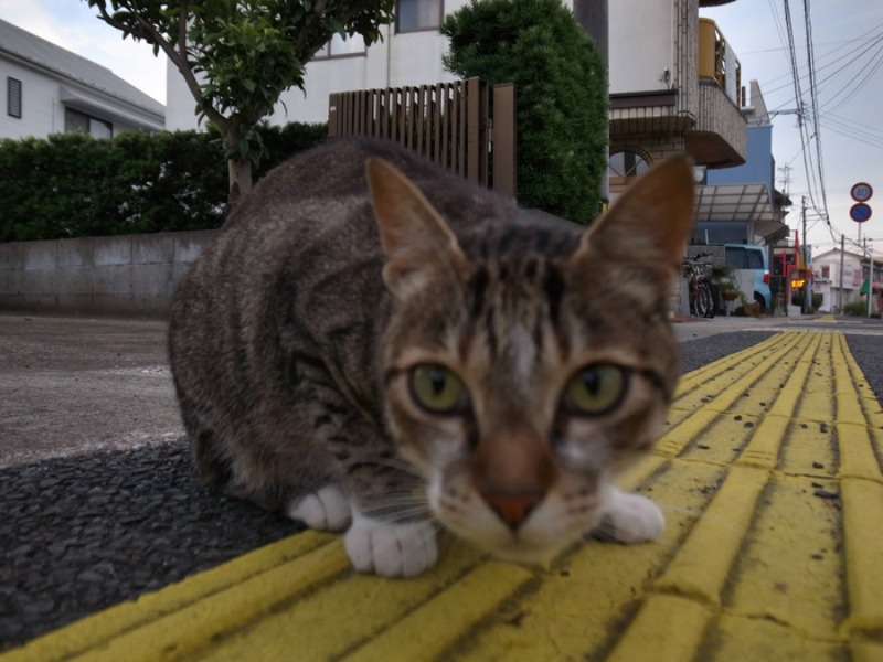 いよいよ、着々と (*^_^*)_c0049299_21512668.jpg