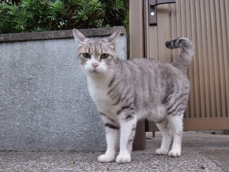 いよいよ、着々と (*^_^*)_c0049299_2153713.jpg