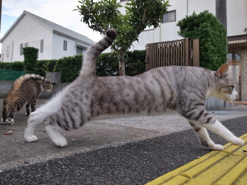 いよいよ、着々と (*^_^*)_c0049299_2155454.jpg