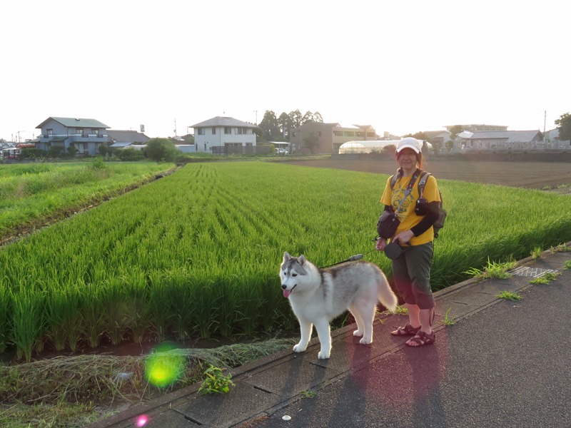 いよいよ、着々と (*^_^*)_c0049299_2272489.jpg
