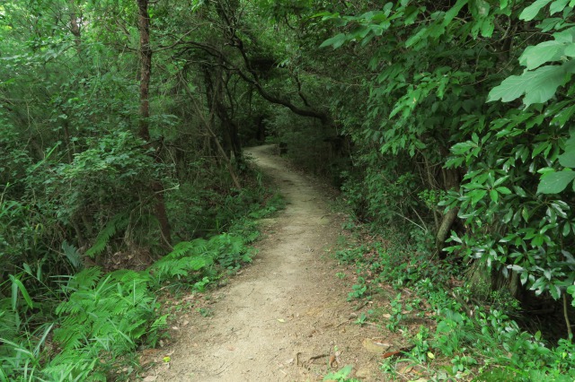 c0186902_20222572.jpg