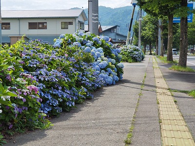 c0336902_1951367.jpg