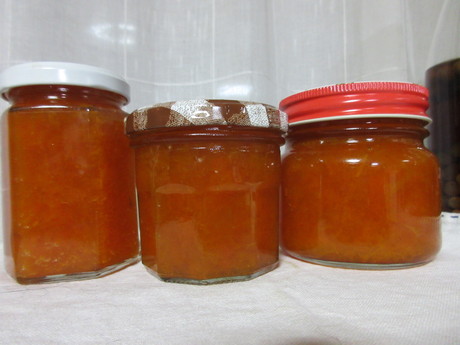 a0203003_20262388.jpg