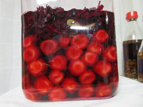 a0203003_20265238.jpg