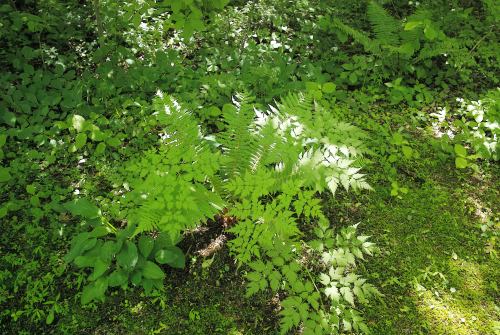 c0334705_21022578.jpg