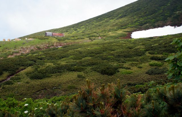 a0345007_657320.jpg