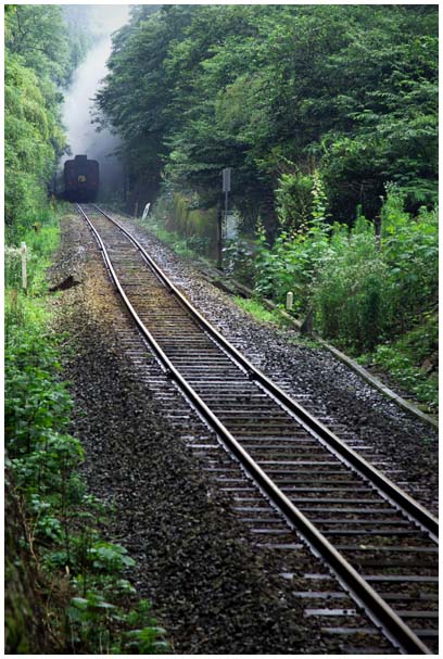 雨の峠路_d0272207_2010495.jpg