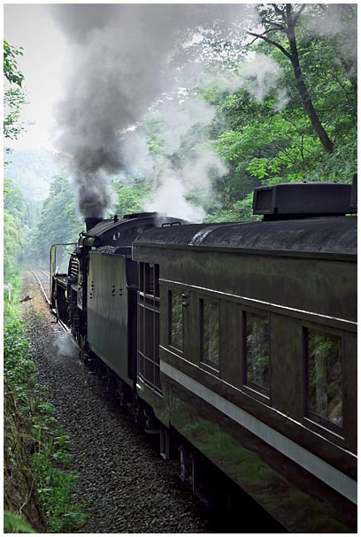 雨の峠路_d0272207_2095780.jpg