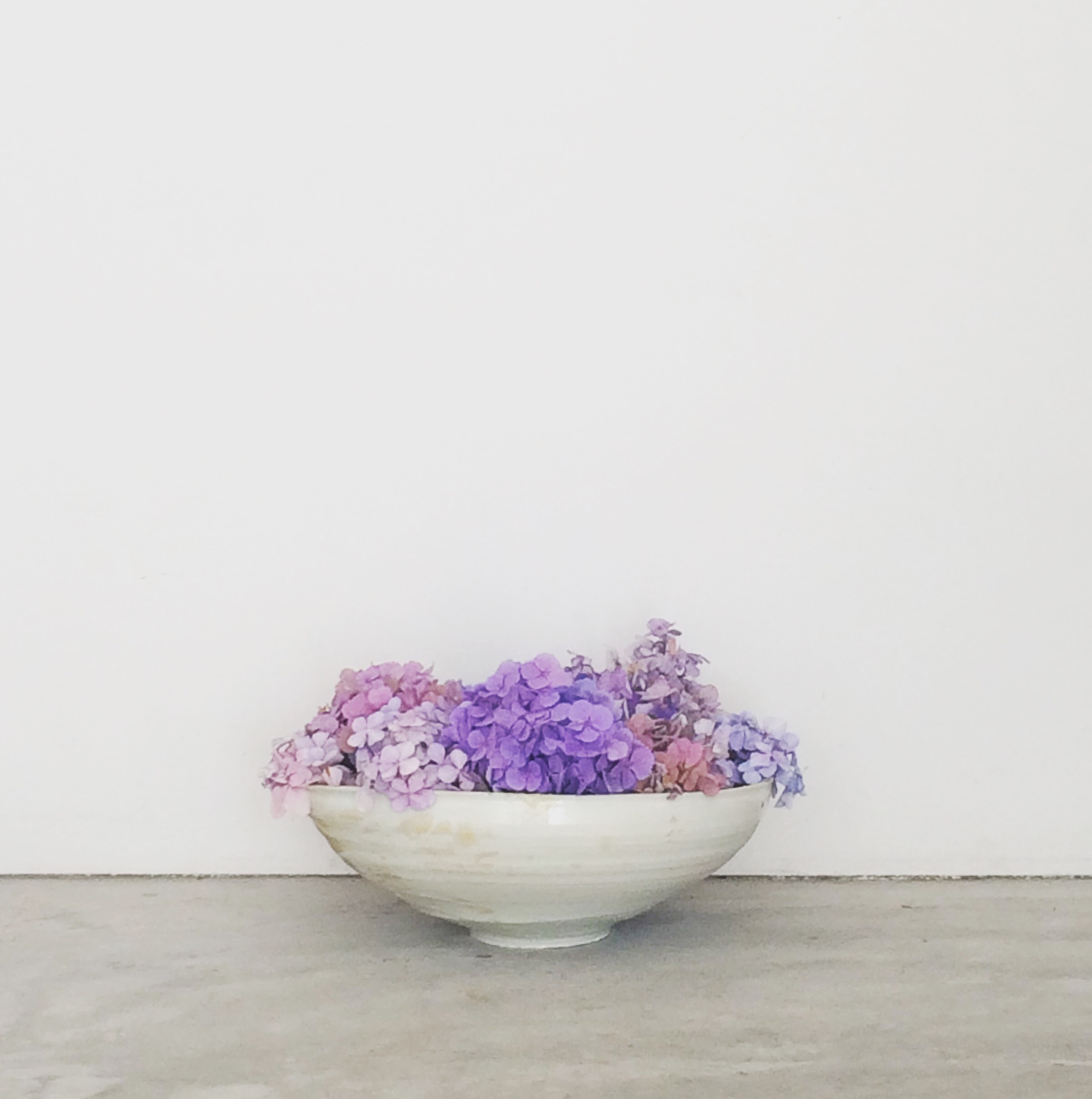 紫陽花の季節ですね_a0157409_09342205.jpeg