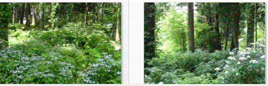 f0231709_0171398.gif