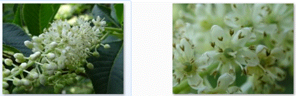 f0231709_023247.gif
