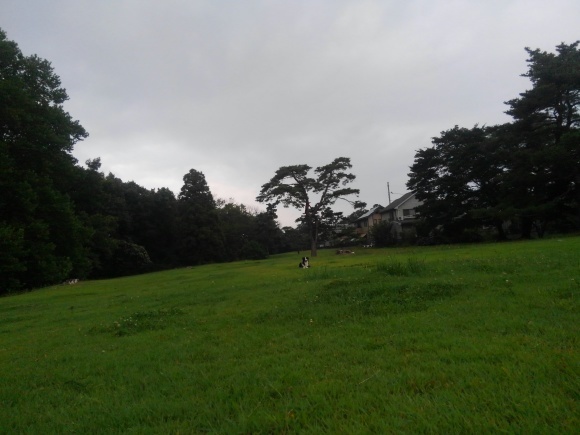 d0224111_07404443.jpg