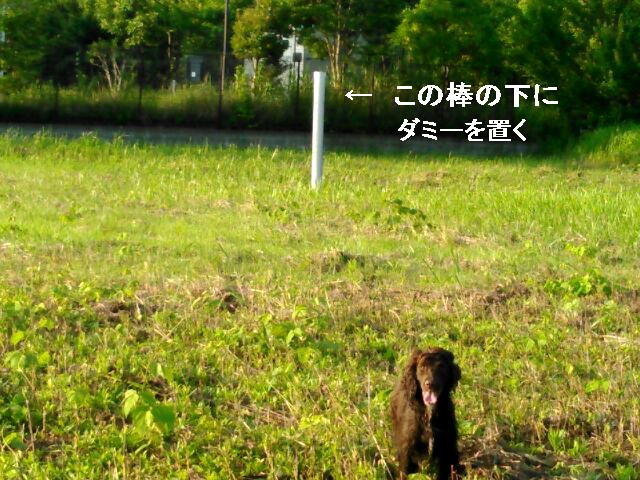 e0204314_15205697.jpg