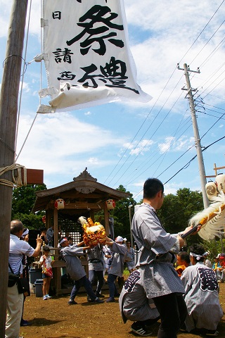 森の木陰でドンジャラホイ 福ちゃんの里山通信