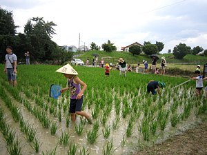 水田観察会_d0120421_10164715.jpg