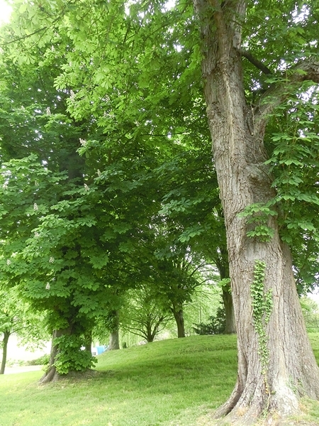 c0208524_00345918.jpg