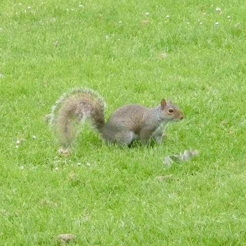 c0208524_00373718.jpg