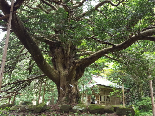 Ｙ君ありがとう、大潟・男鹿・秋田、行ってきたよ、みんなで　_e0016828_10551567.jpg