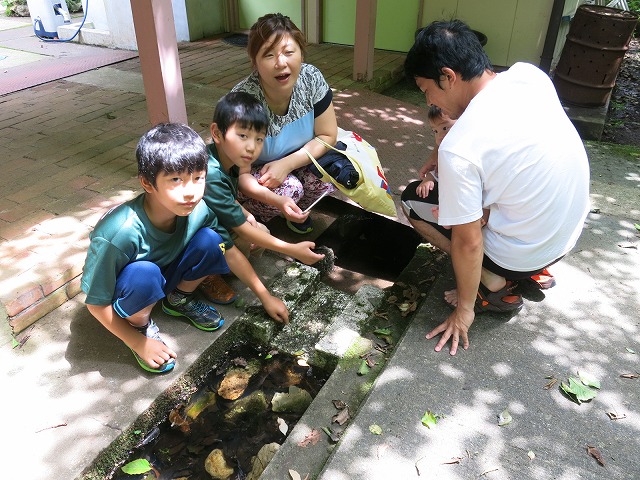 f0177529_22355551.jpg