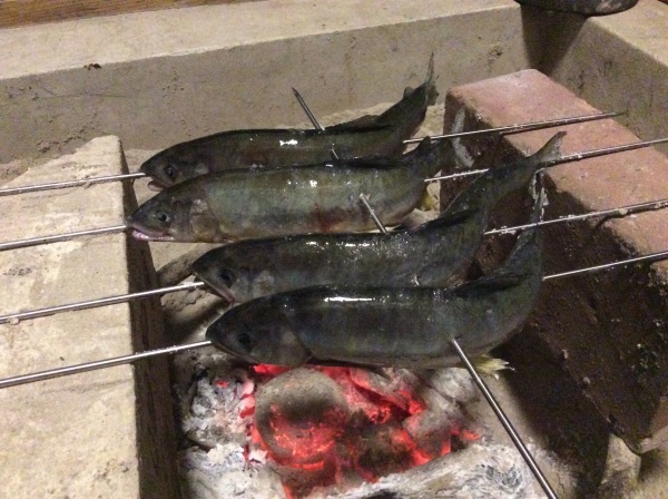 d0349130_21074155.jpeg