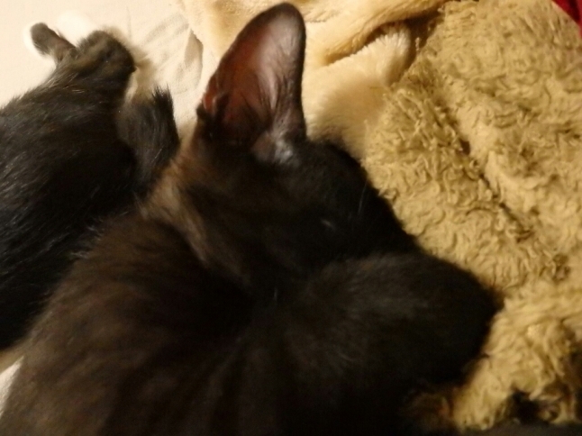 f0364330_12552533.jpg