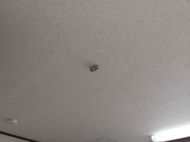 8日・・・・・第一弾終了_f0031037_19215031.jpg