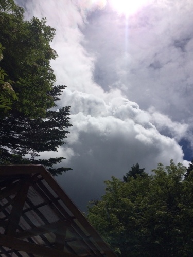 7月4日の日記_c0369344_17044880.jpeg