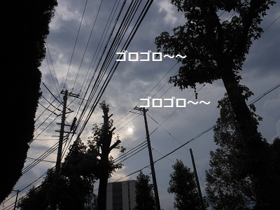 c0261346_18345943.jpg