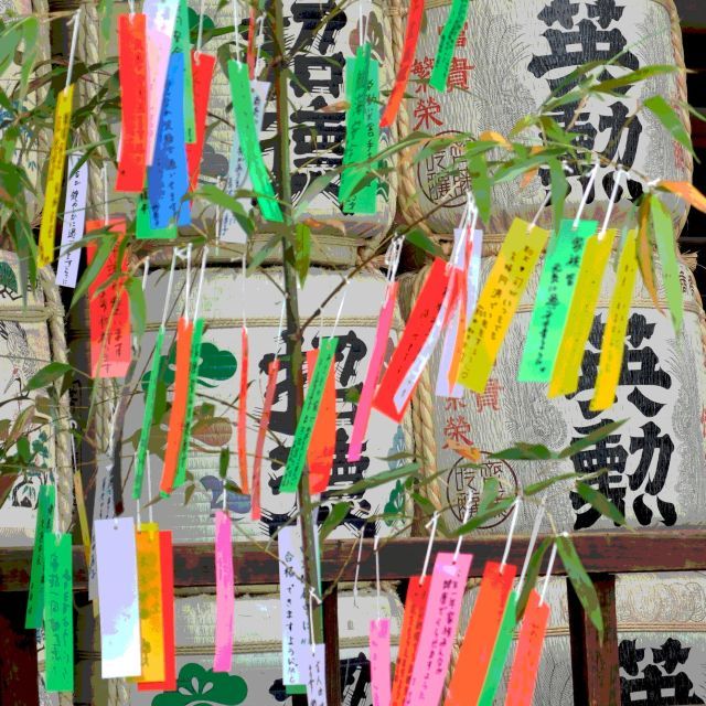 織姫はいつ出たらいいのでしょうか_b0355451_17563854.jpg