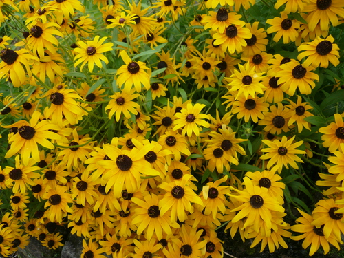 c0043055_11263763.jpg