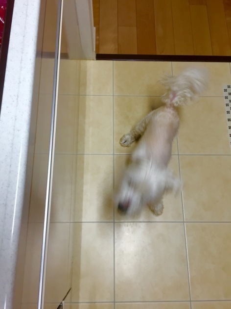 a0337860_23135123.jpeg