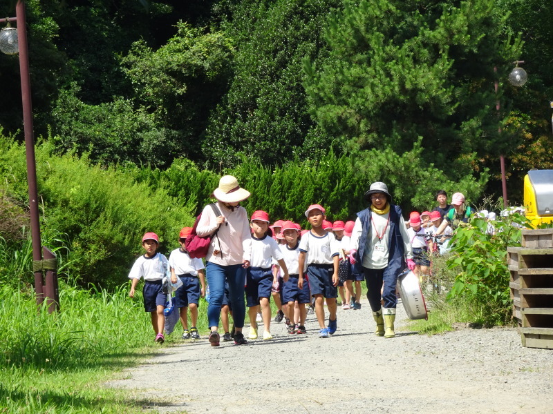 下荘小学校2年生「浜辺の生き物観察」 in 箱作自然海岸・・・うみべの森を育てる会_c0108460_21552912.jpg