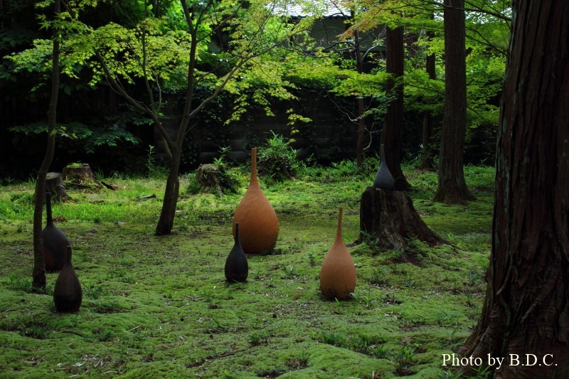 岡山　曹源寺_e0357265_22252268.jpg