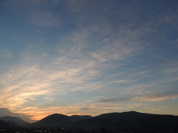 朝陽に輝き_b0366871_18404004.jpg